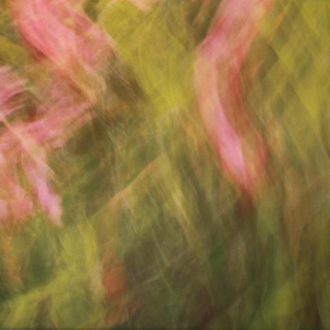 Hanna Lercher Farbraum